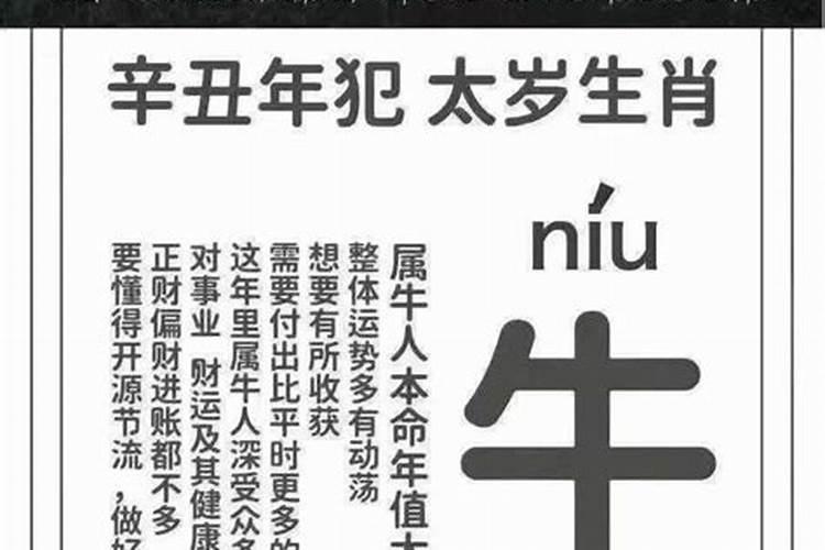 2021年属牛人犯太岁怎样化解