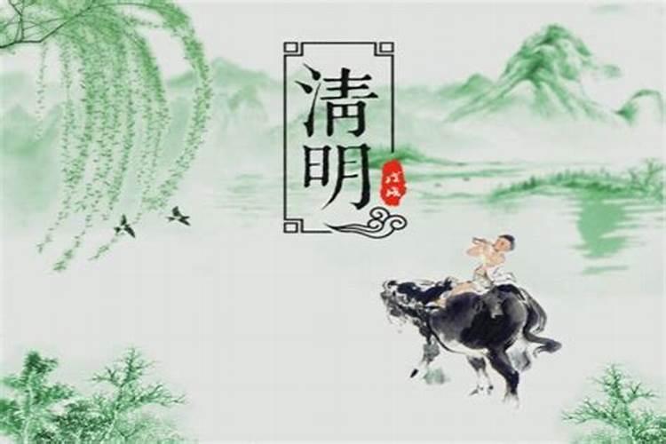 重阳节习俗有插艾草吗