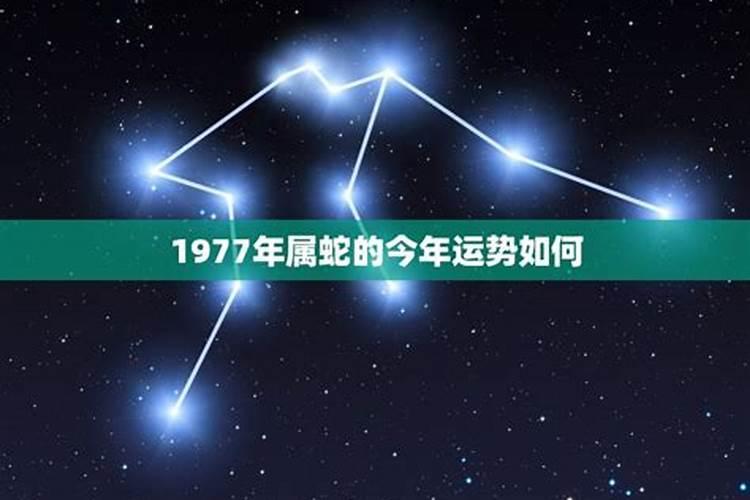 1977年出生的今年的运程如何