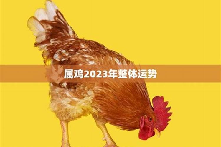 属鸡2023年运势驿马星