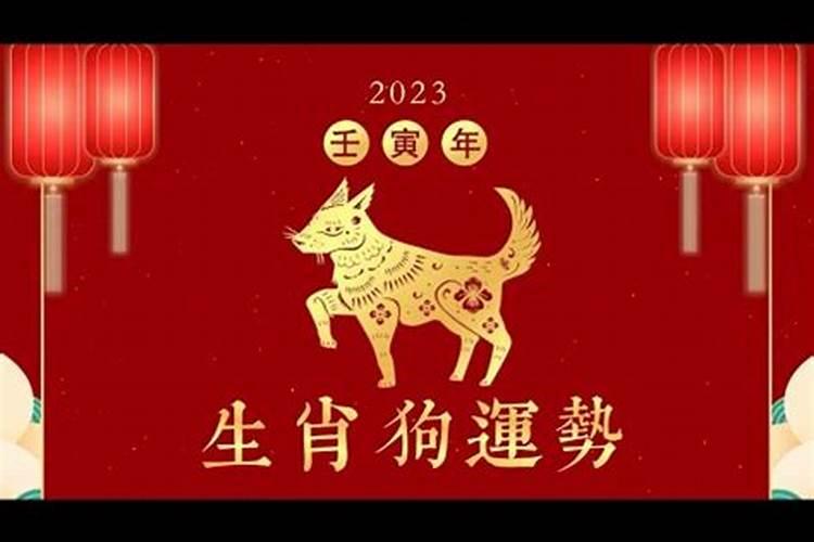 2023生肖狗运程如何