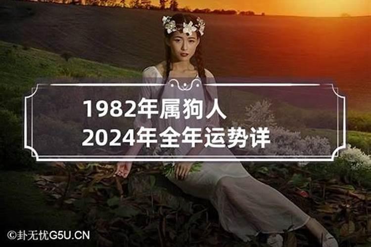 1982年2024年运势如何