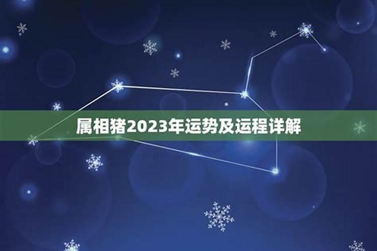 属猪男2023年运势及运程