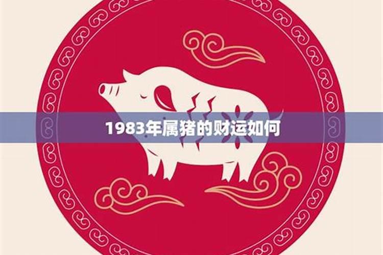 1983年属猪一生运势