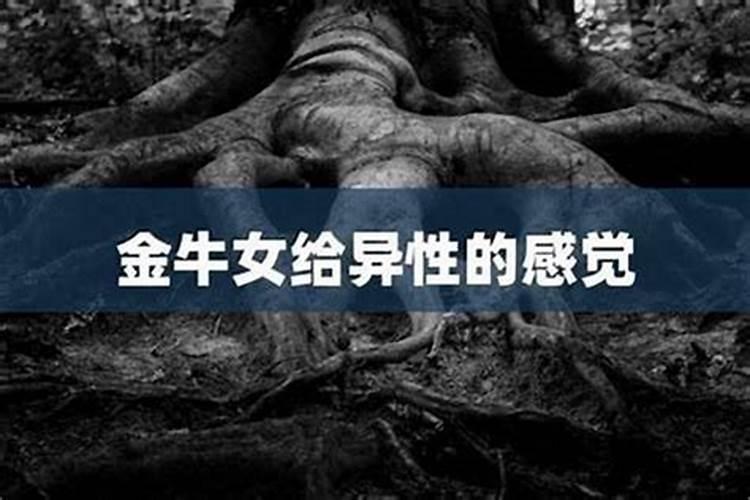 梦见自己车被撞严重受损