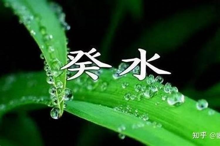 重阳节的来历有什么