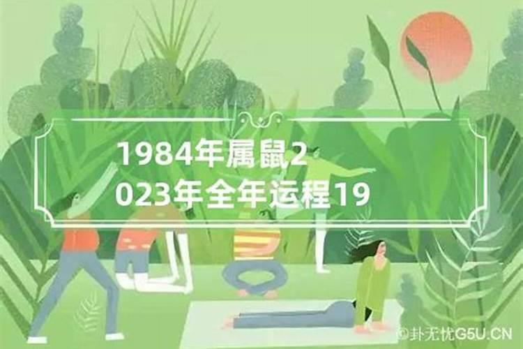 算命1984年出生的人今年运程