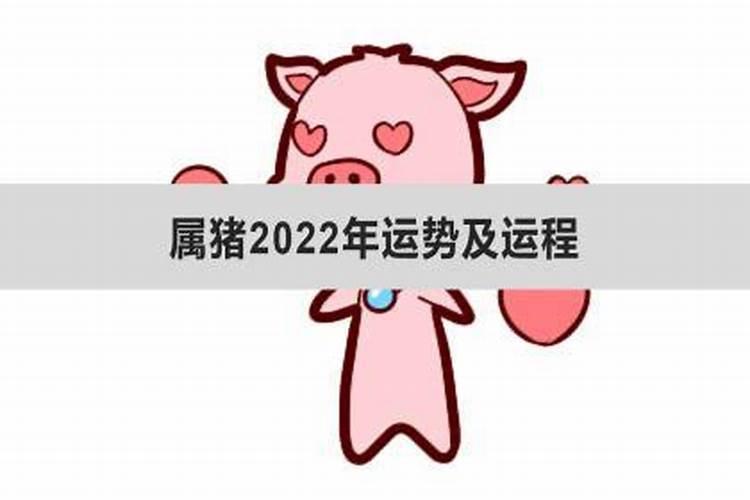 96年属猪在2023年运势