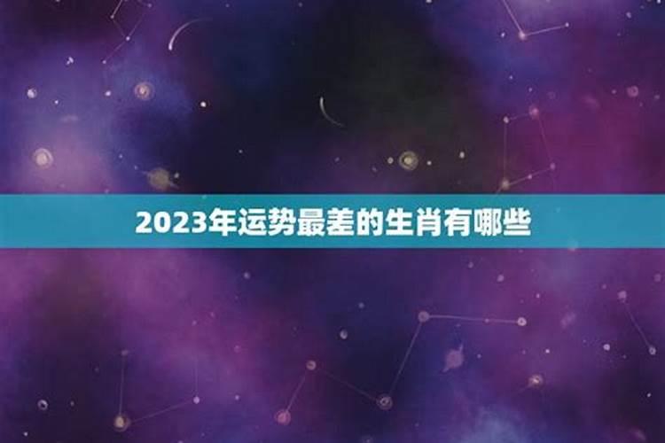 2021年虎的运势和财运