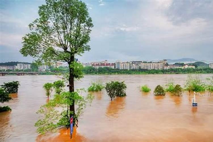 梦见满路都是大水啥意思