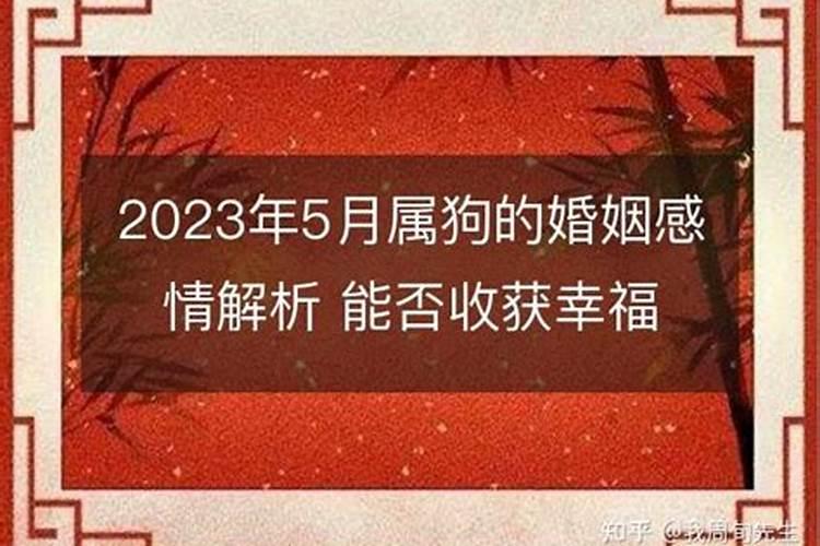 为什么属狗的婚姻不顺了呢怎么破解