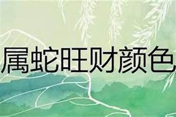 属蛇明年是啥太岁