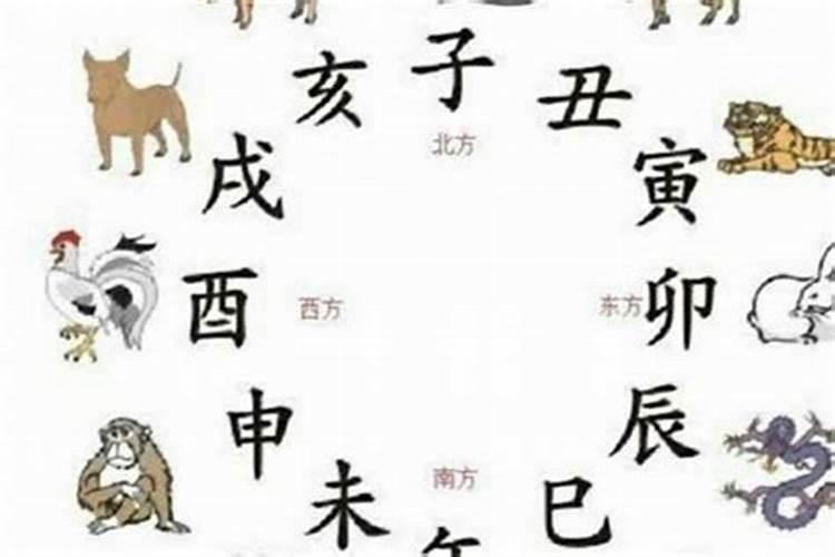 合八生肖合八字什么肖