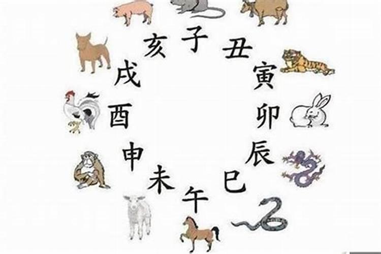 猪虎属性八字合吗