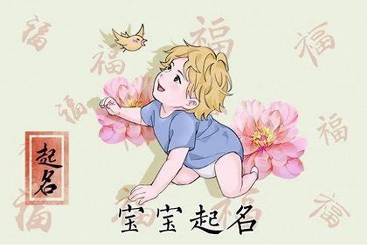 夏至哪天出生的人