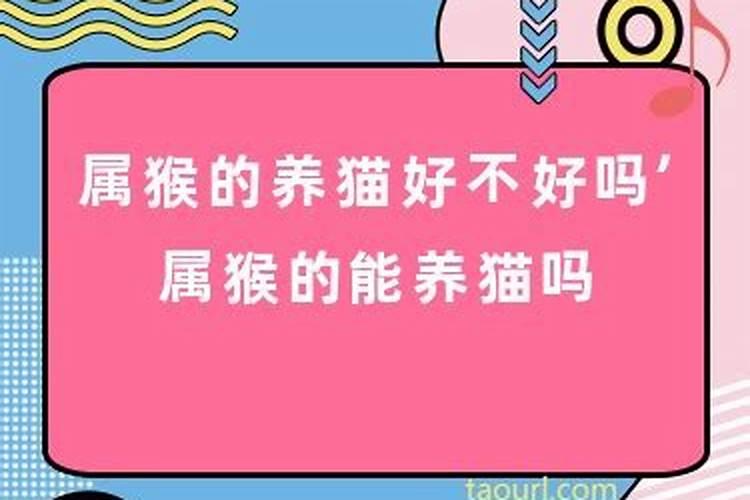 2023年鼠年出生1月份运势详解