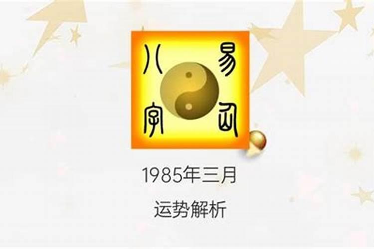 老公去哪儿三月十五号票房