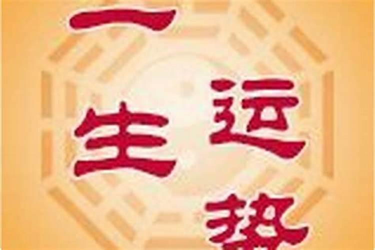 生肖蛇今年爱情运势怎么样