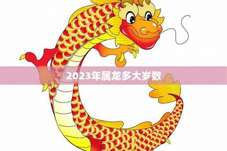 属龙的2021年多大年龄虚岁