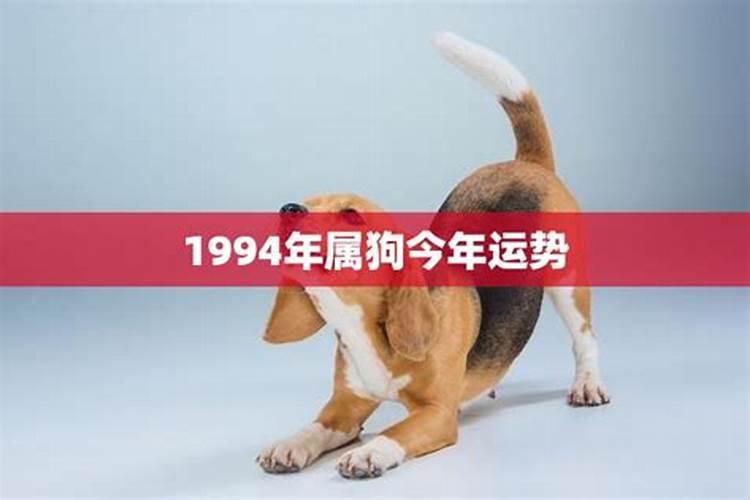 1990年属马11月出生好不好