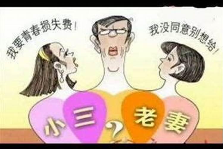 属马的人在牛年运气如何