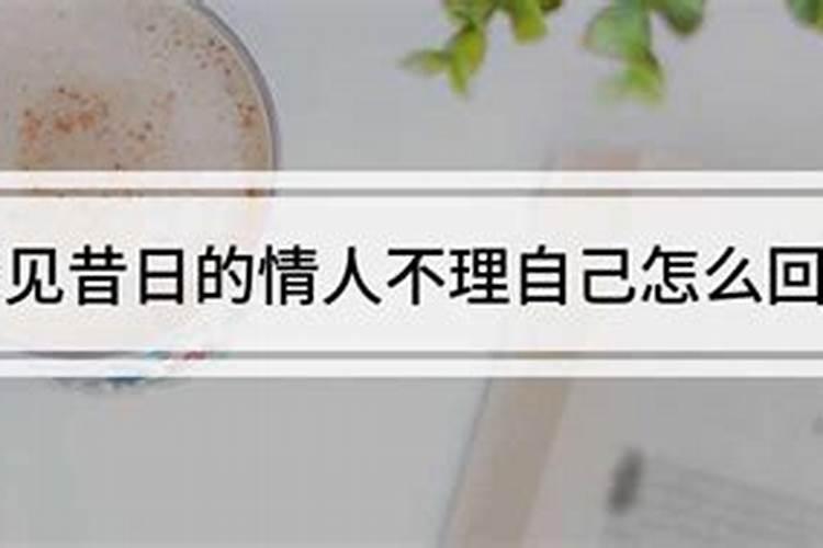 梦见情人不理自己周公解梦