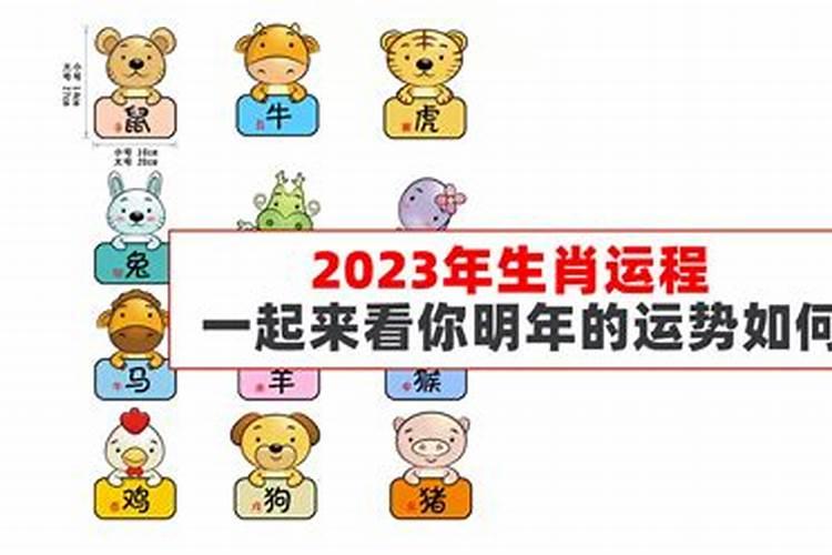 兔的运势2023年运势9月