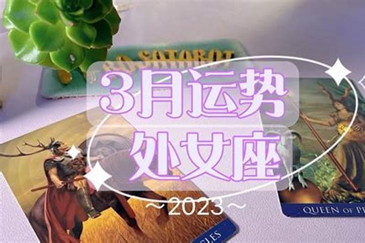 十二生肖2024年运程麦