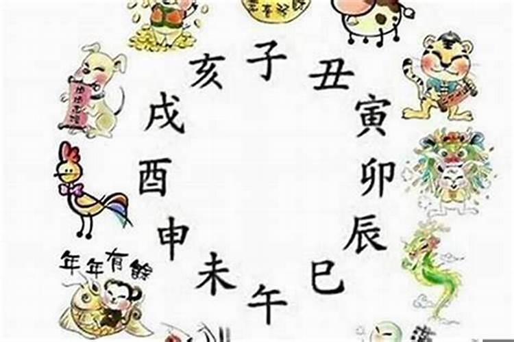 今年8岁的孩子属什么生肖