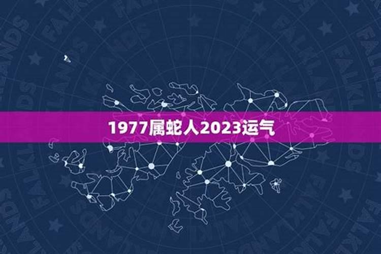 1963年属兔人今日运势