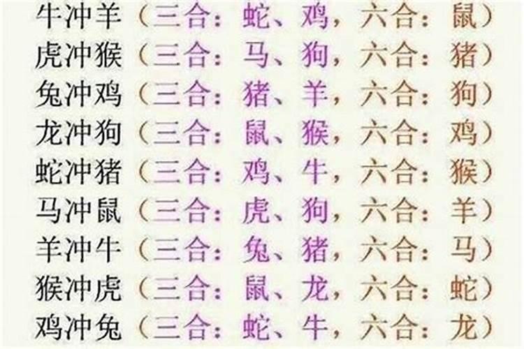 男牛和女龙八字合吗