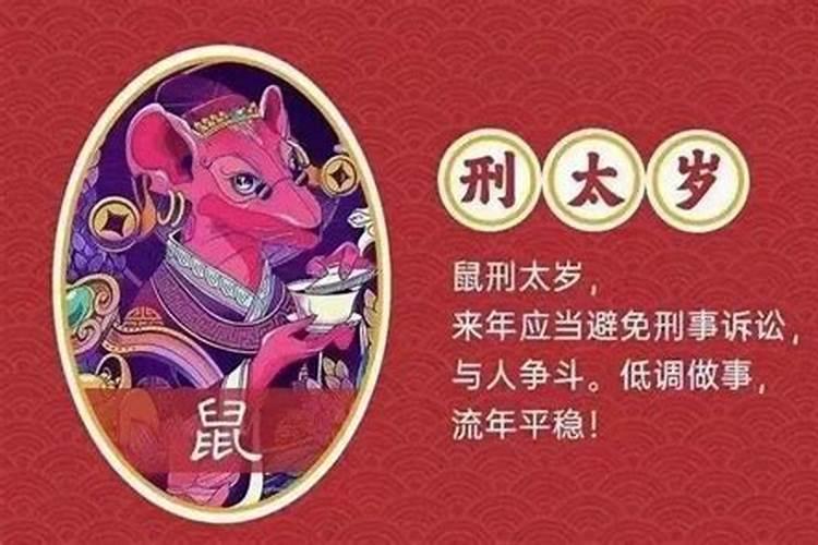 洛阳白马寺什么时候开放的啊最新消息新闻