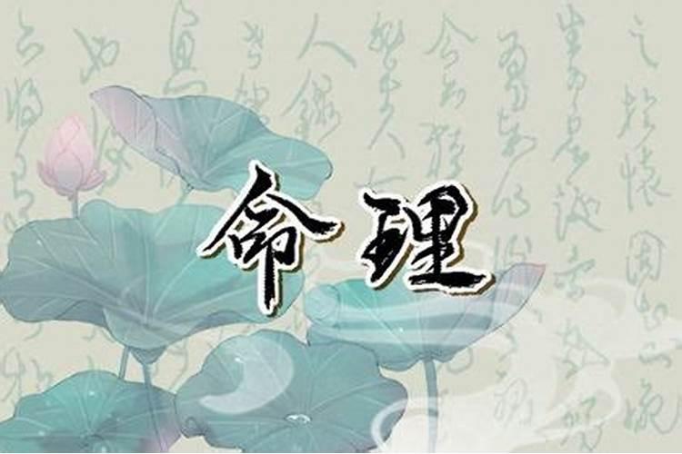 2月2龙抬头出生的兔子