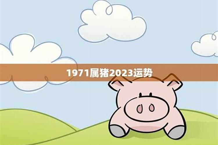 1968年四月出生的猴的命运