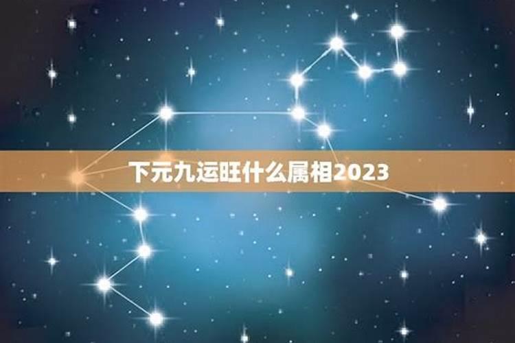 2023年属什么的逢九