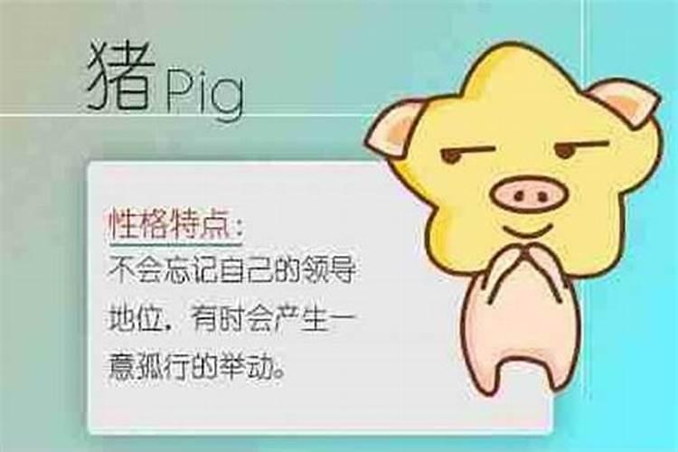 梦见马场有很多马什么意思周公解梦