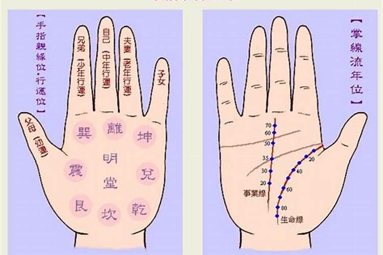 属猪的11月出生是什么星座