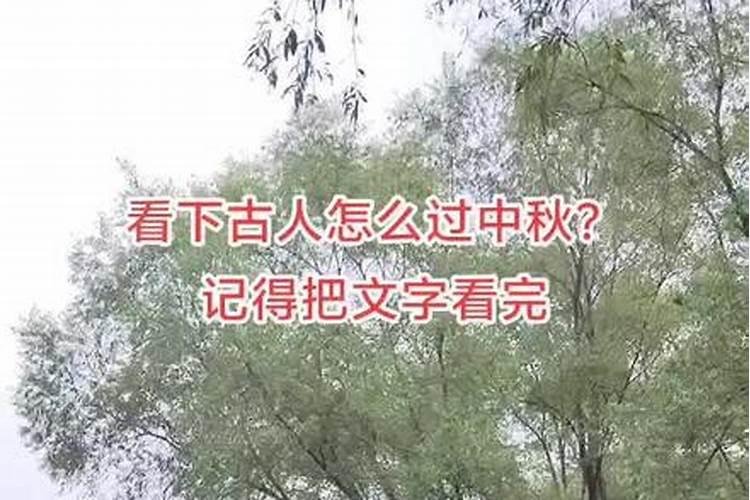 八月十五祭祀荷花好吗