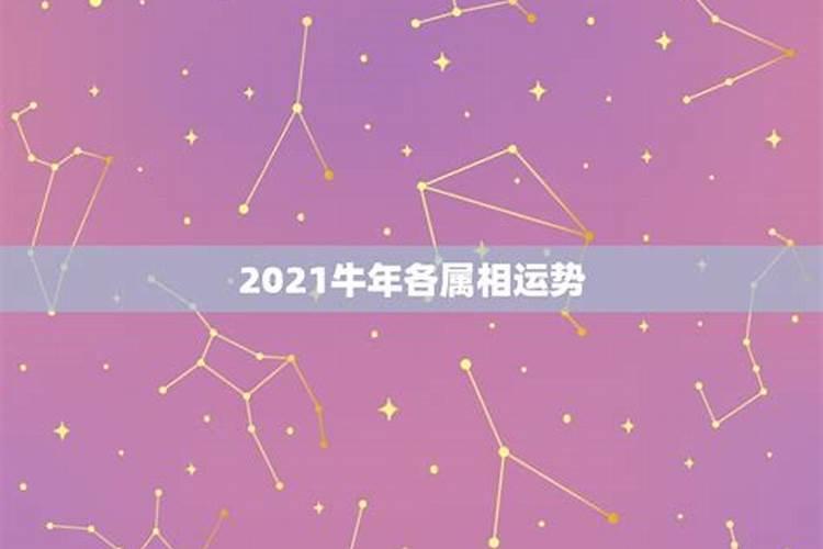 8鼠月运势2024年运程如何