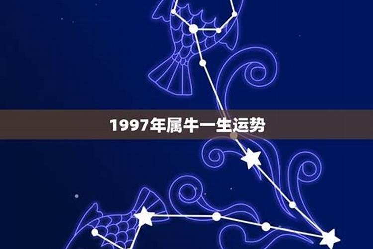 1997年生属牛一生运势