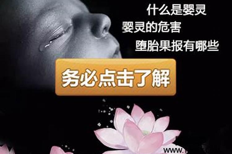 属兔的女为什么婚姻总不顺利呢