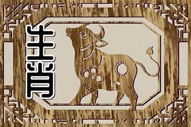 老虎犯太岁怎么破化解