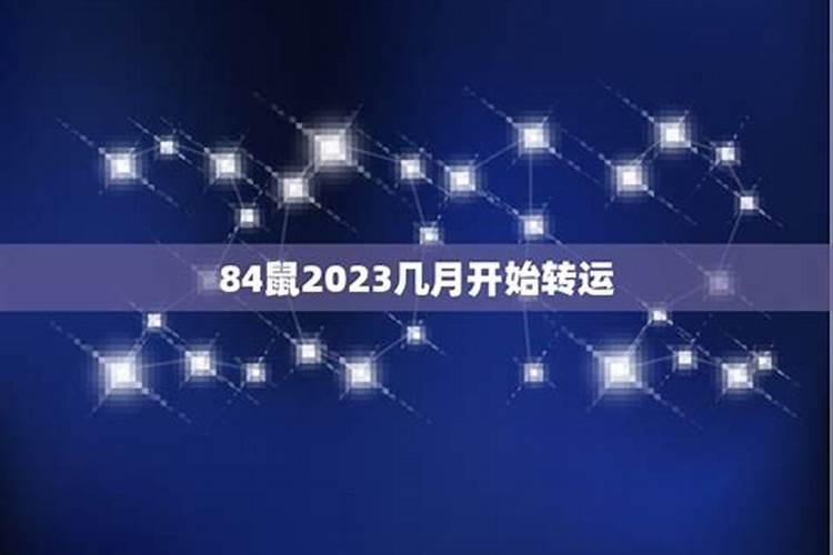 84年鼠2023年全年财运