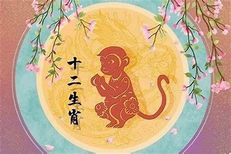 属猴今年运程婚姻