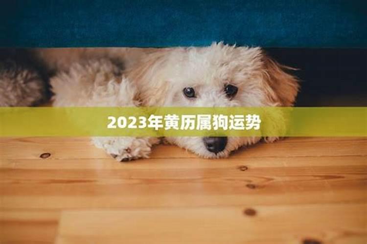 八字不合怎么补救女性命运呢