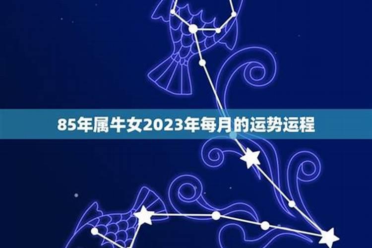 2023属牛全年运势