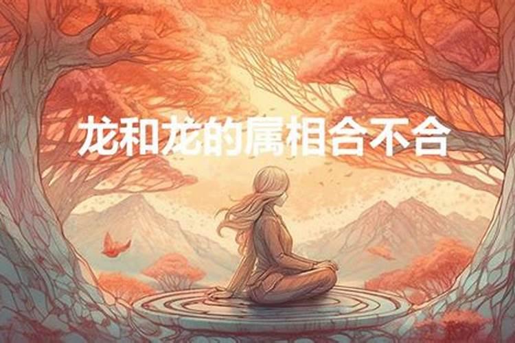 梦见别人抬棺材出殡打什么码