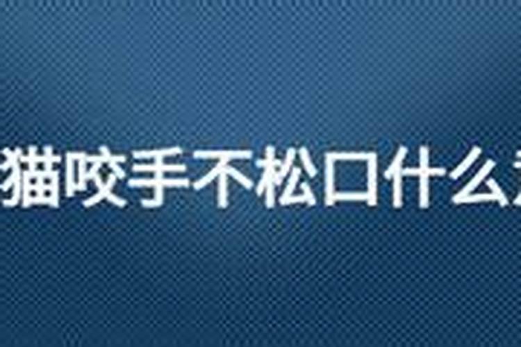 1994年金木水火土五行查询表