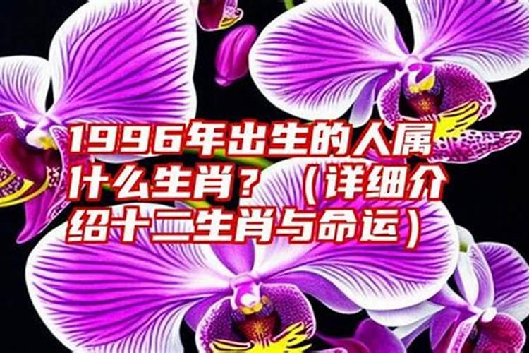 14点出生的人属什么命