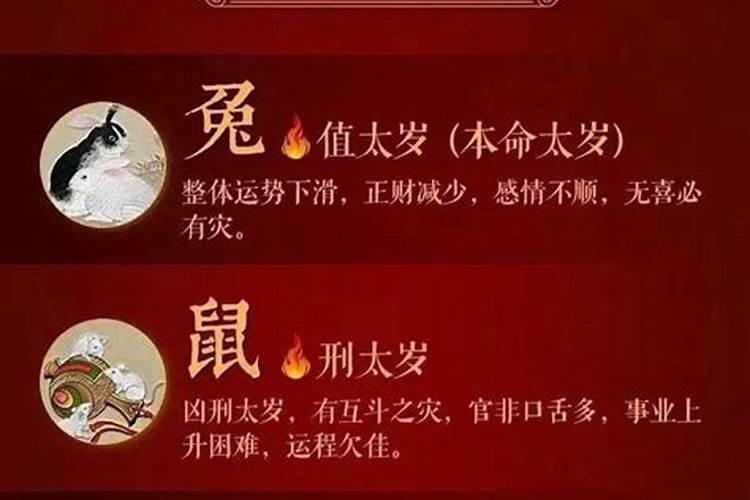 属牛怎么提升财运运势好